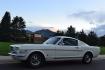 1966 White /Blue Ford Mustang Original GT, Hi-Po, ( K- Code ), 2+2, 4-Speed, Deluxe Pony Interior, Rally Pac. (6F09K192549) with an Correct 289V8 Engine engine, Manual transmission, located at 2510 47th St. Suite 200, Boulder, CO, 80301, (303) 641-0333, 40.026196, -105.243217 - Photo#5