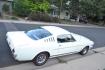 1966 White /Blue Ford Mustang Original GT, Hi-Po, ( K- Code ), 2+2, 4-Speed, Deluxe Pony Interior, Rally Pac. (6F09K192549) with an Correct 289V8 Engine engine, Manual transmission, located at 2510 47th St. Suite 200, Boulder, CO, 80301, (303) 641-0333, 40.026196, -105.243217 - Photo#28