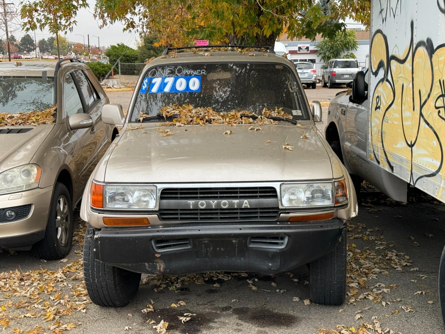 1992 Beige Toyota Land Cruiser 4WD (JT3FJ80WXN0) with an 4.0L L6 OHV 12V engine, 4-Speed Automatic Overdrive transmission, located at 2510 47th St. Suite 200, Boulder, CO, 80301, (303) 641-0333, 40.026196, -105.243217 - Photo#2