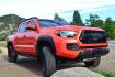 2023 Orange /Black Toyota Tacoma TRD Pro Short Bed (3TYCZ5AN1PT) with an 3.5L V6 DOHC 24V engine, 6A transmission, located at 2510 47th St. Suite 200, Boulder, CO, 80301, (303) 641-0333, 40.026196, -105.243217 - This Beautiful Super Low Mile, 6,082, Boulder Estate Tacoma, is a New Purchase by Boulder Motors in Boulder Colorado. It is Finished In Toyota's Stunning Special Order Solar Octane Metallic, W/ Heated Black TRD Leather Interior. It has a Flawless CarFax and Auto Check showing no Odometer, Accidents - Photo#11