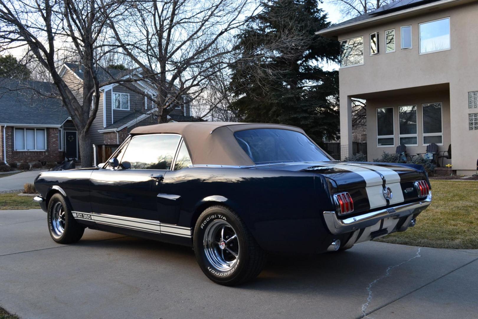 1966 Blue /Black Ford Mustang Shelby GT350 Re-Creation (6F08K335126) with an 289 V8 Engine engine, Manual transmission, located at 2510 47th St. Suite 200, Boulder, CO, 80301, (303) 641-0333, 40.026196, -105.243217 - Photo#10