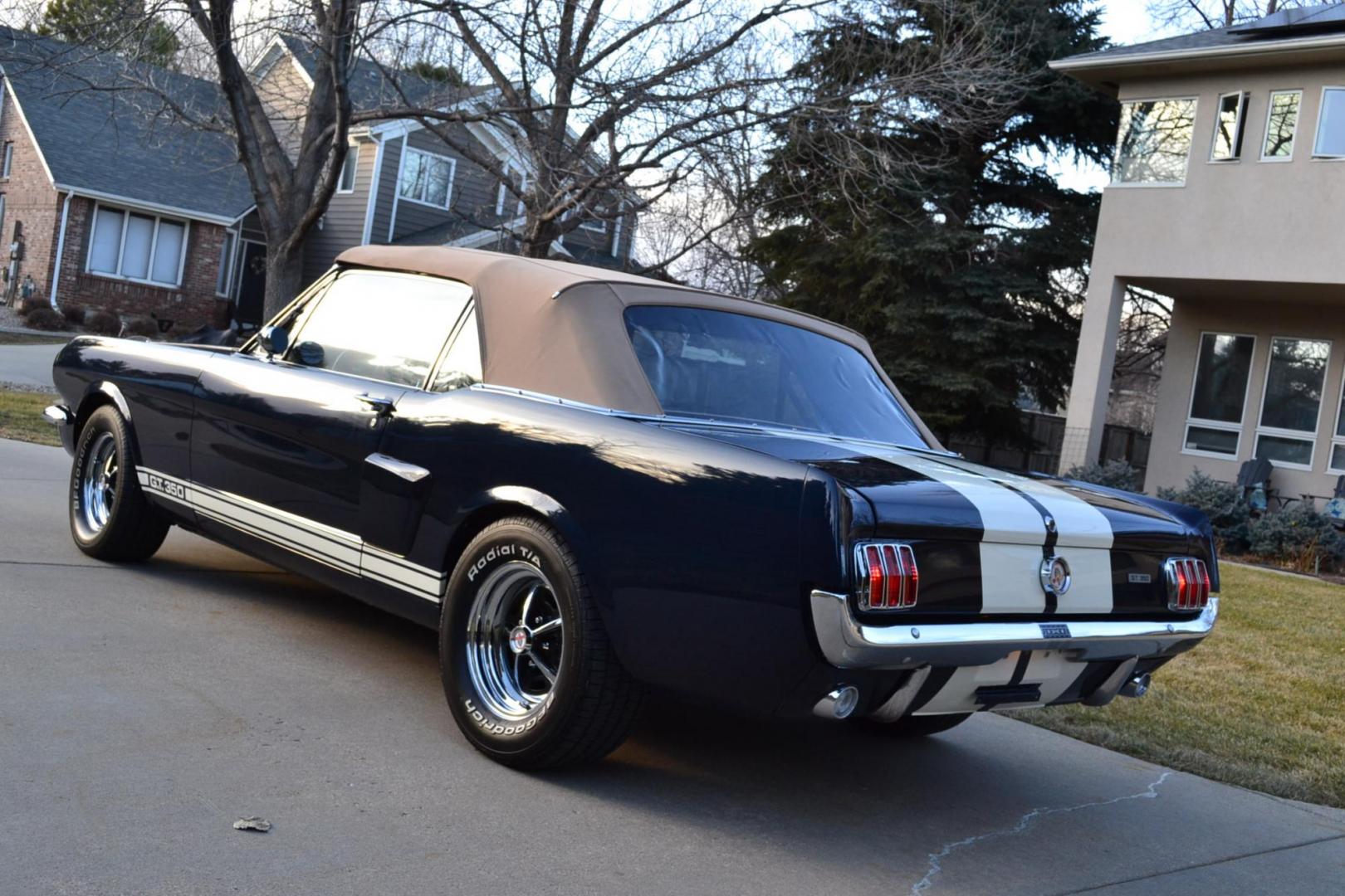 1966 Blue /Black Ford Mustang Shelby GT350 Re-Creation (6F08K335126) with an 289 V8 Engine engine, Manual transmission, located at 2510 47th St. Suite 200, Boulder, CO, 80301, (303) 641-0333, 40.026196, -105.243217 - Photo#11