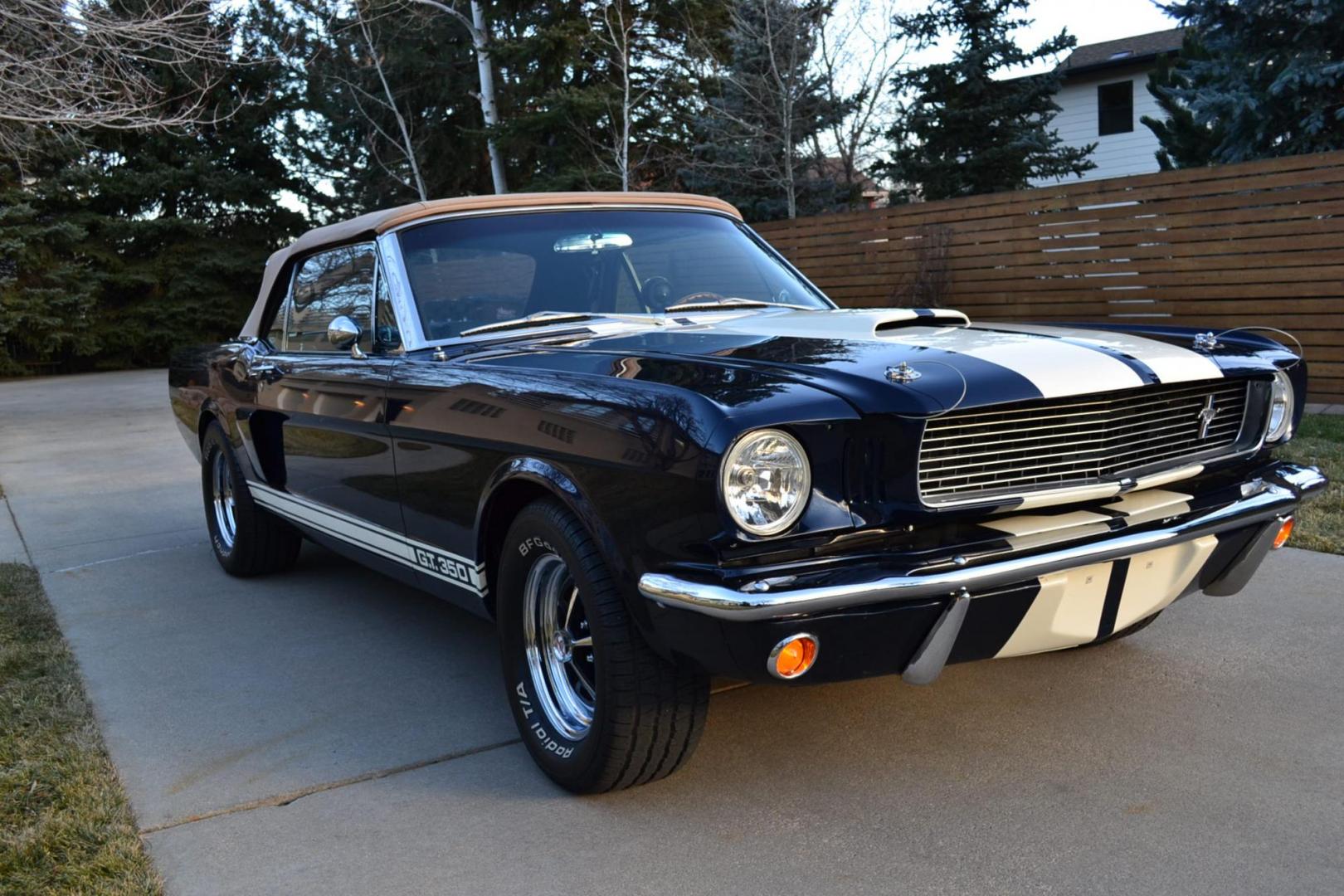 1966 Blue /Black Ford Mustang Shelby GT350 Re-Creation (6F08K335126) with an 289 V8 Engine engine, Manual transmission, located at 2510 47th St. Suite 200, Boulder, CO, 80301, (303) 641-0333, 40.026196, -105.243217 - This 1966 Mustang Original K-Code Convertible, Shelby GT350 Re-Creation, underwent a Complete Nut and Bolt Rotisserie Restoration and was Built to the Specs of a Shelby GT350. A Rebuilt High Performance 289 V8 Engine is Mated to a Top Loader 4-Speed Manual Transmission and a 9-inch Rear End. The En - Photo#12