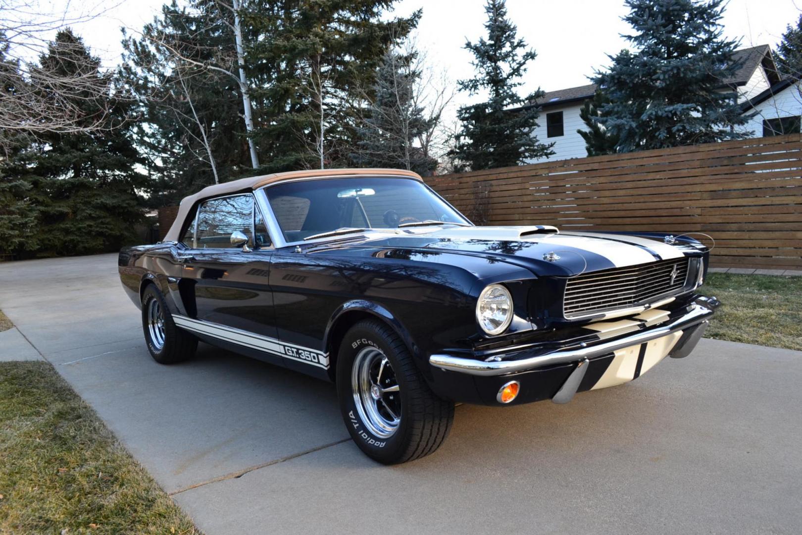 1966 Blue /Black Ford Mustang Shelby GT350 Re-Creation (6F08K335126) with an 289 V8 Engine engine, Manual transmission, located at 2510 47th St. Suite 200, Boulder, CO, 80301, (303) 641-0333, 40.026196, -105.243217 - This 1966 Mustang Original K-Code Convertible, Shelby GT350 Re-Creation, underwent a Complete Nut and Bolt Rotisserie Restoration and was Built to the Specs of a Shelby GT350. A Rebuilt High Performance 289 V8 Engine is Mated to a Top Loader 4-Speed Manual Transmission and a 9-inch Rear End. The En - Photo#13