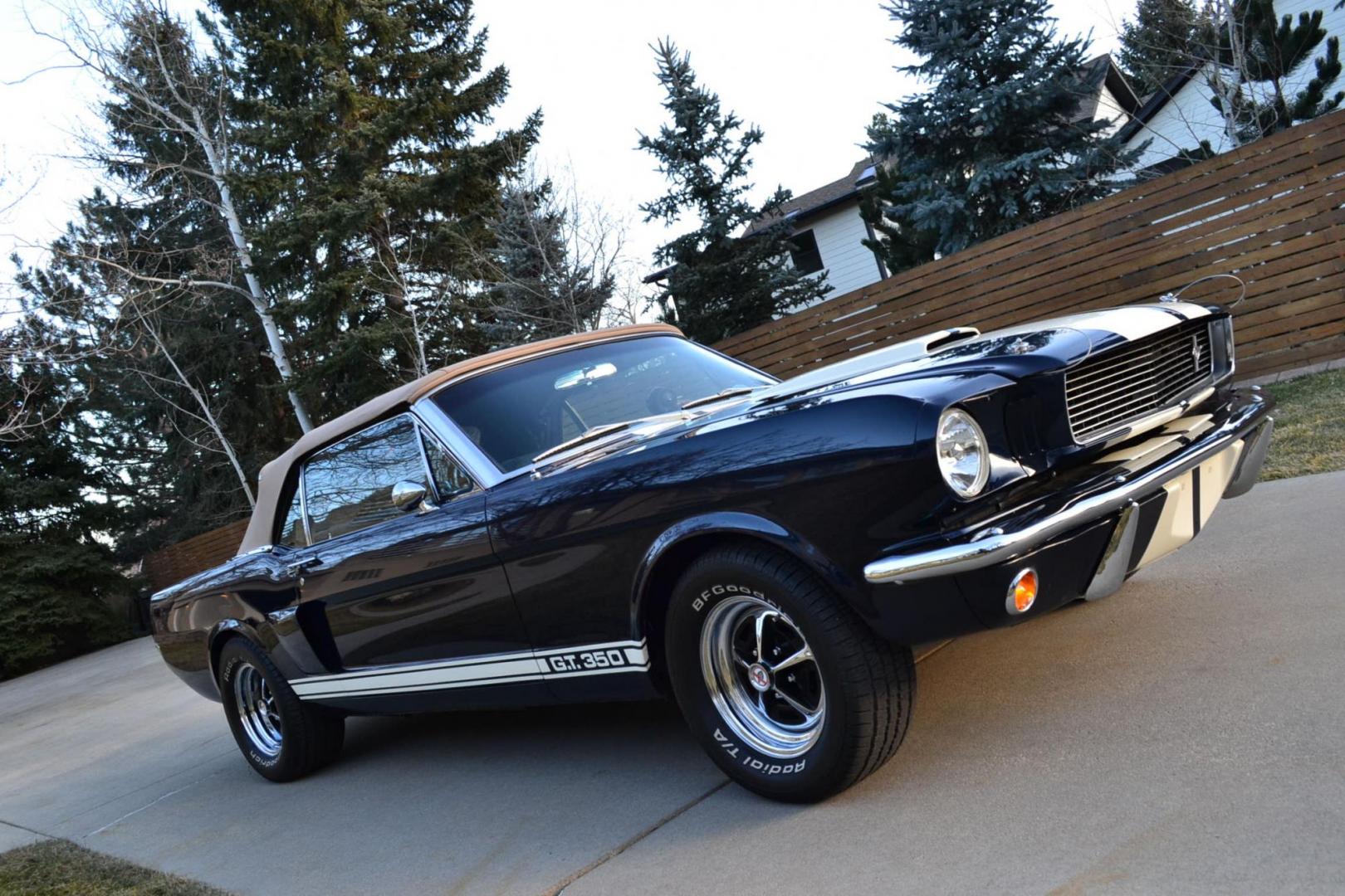 1966 Blue /Black Ford Mustang Shelby GT350 Re-Creation (6F08K335126) with an 289 V8 Engine engine, Manual transmission, located at 2510 47th St. Suite 200, Boulder, CO, 80301, (303) 641-0333, 40.026196, -105.243217 - Photo#14