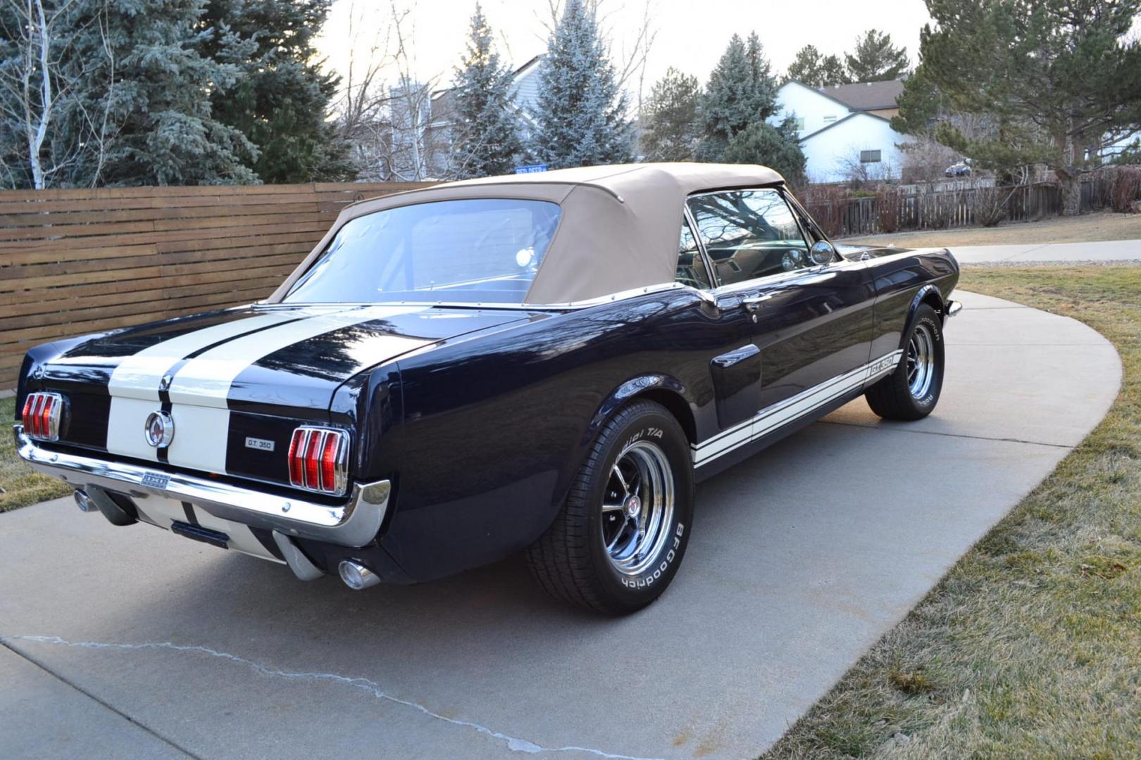 1966 Blue /Black Ford Mustang Shelby GT350 Re-Creation (6F08K335126) with an 289 V8 Engine engine, Manual transmission, located at 2510 47th St. Suite 200, Boulder, CO, 80301, (303) 641-0333, 40.026196, -105.243217 - Photo#15