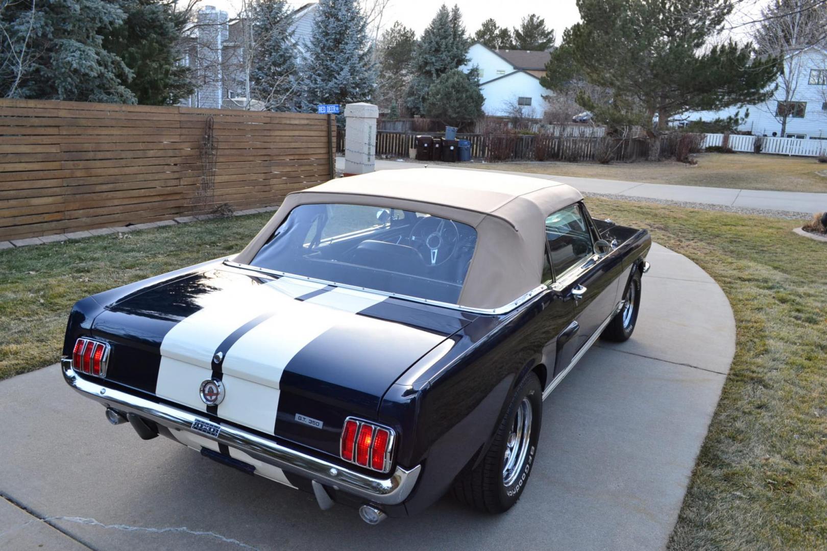 1966 Blue /Black Ford Mustang Shelby GT350 Re-Creation (6F08K335126) with an 289 V8 Engine engine, Manual transmission, located at 2510 47th St. Suite 200, Boulder, CO, 80301, (303) 641-0333, 40.026196, -105.243217 - This 1966 Mustang Original K-Code Convertible, Shelby GT350 Re-Creation, underwent a Complete Nut and Bolt Rotisserie Restoration and was Built to the Specs of a Shelby GT350. A Rebuilt High Performance 289 V8 Engine is Mated to a Top Loader 4-Speed Manual Transmission and a 9-inch Rear End. The En - Photo#16