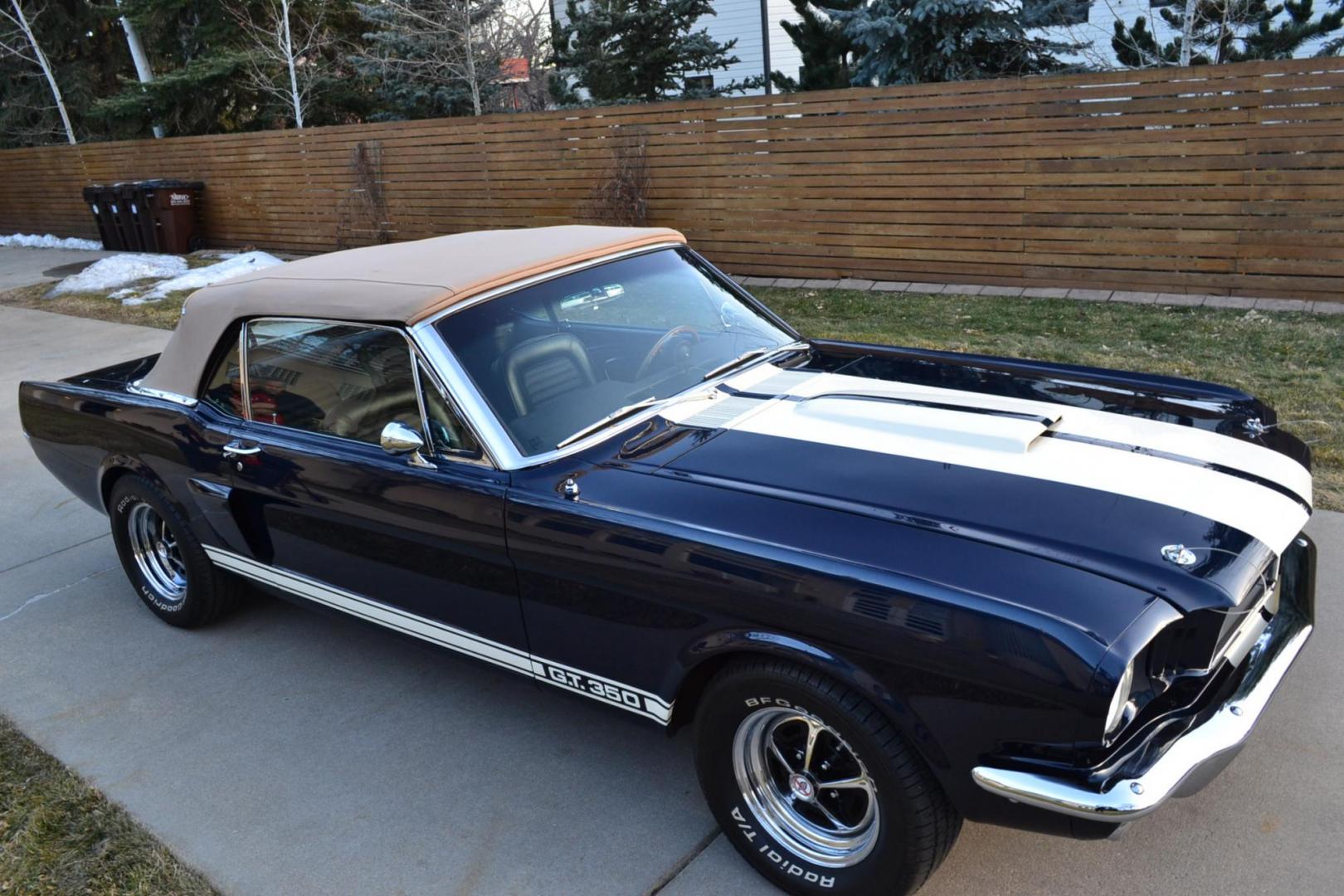 1966 Blue /Black Ford Mustang Shelby GT350 Re-Creation (6F08K335126) with an 289 V8 Engine engine, Manual transmission, located at 2510 47th St. Suite 200, Boulder, CO, 80301, (303) 641-0333, 40.026196, -105.243217 - Photo#19