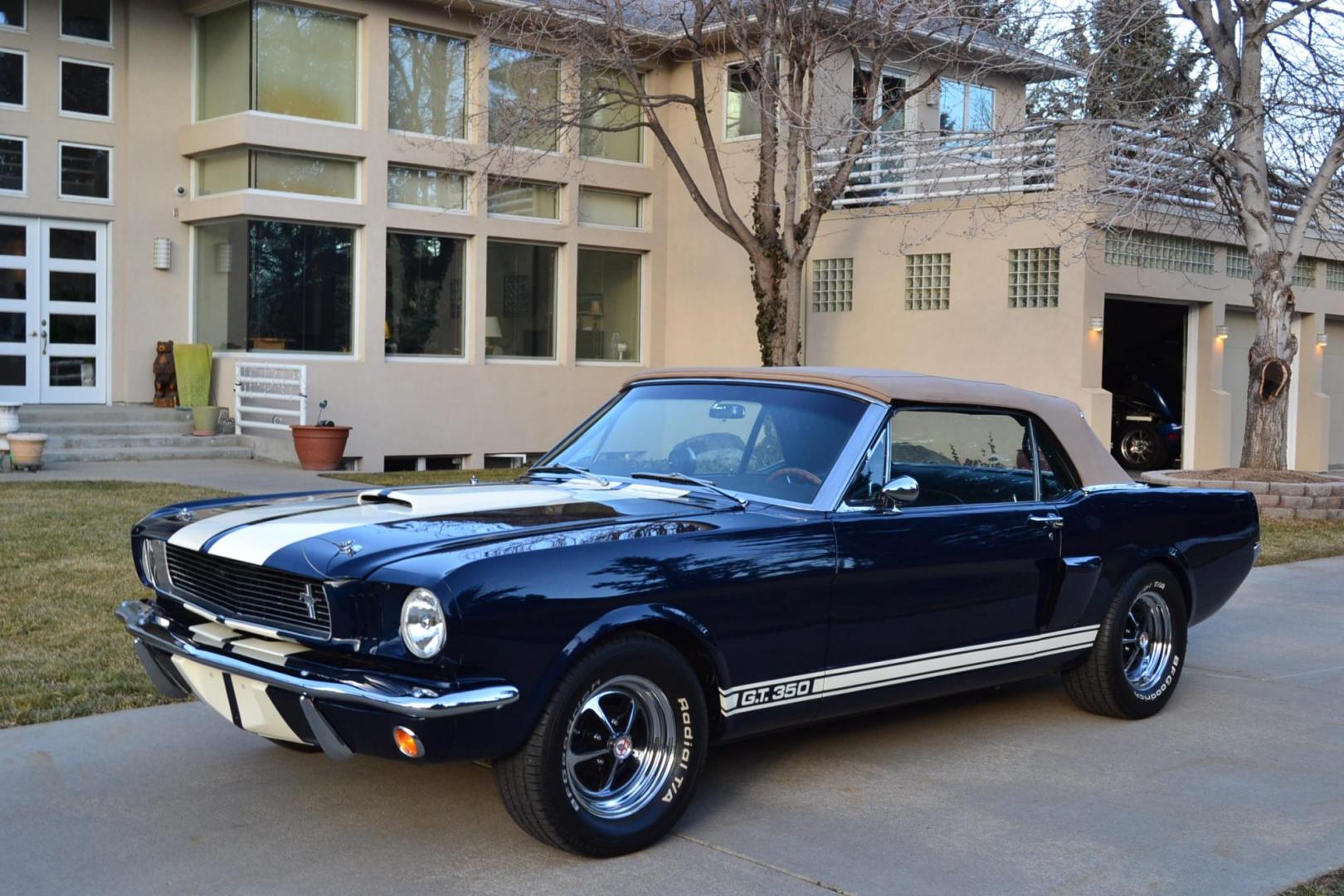 1966 Blue /Black Ford Mustang Shelby GT350 Re-Creation (6F08K335126) with an 289 V8 Engine engine, Manual transmission, located at 2510 47th St. Suite 200, Boulder, CO, 80301, (303) 641-0333, 40.026196, -105.243217 - Photo#2