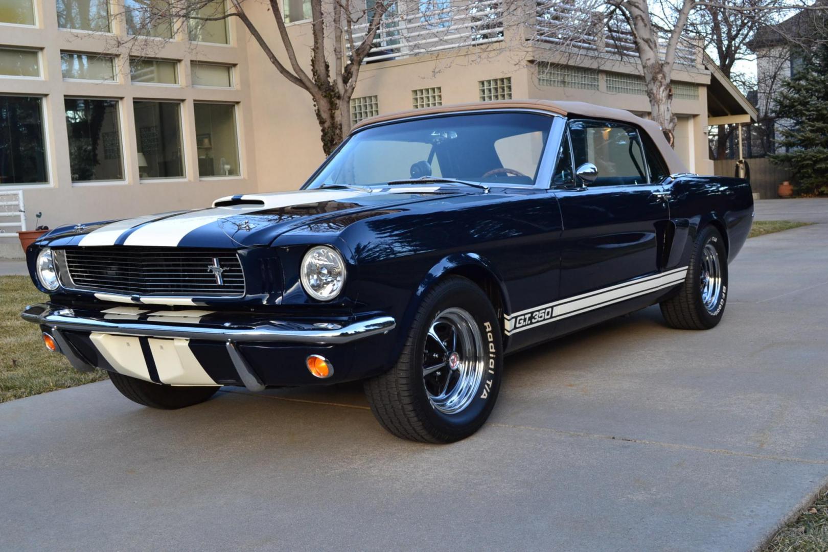 1966 Blue /Black Ford Mustang Shelby GT350 Re-Creation (6F08K335126) with an 289 V8 Engine engine, Manual transmission, located at 2510 47th St. Suite 200, Boulder, CO, 80301, (303) 641-0333, 40.026196, -105.243217 - Photo#4