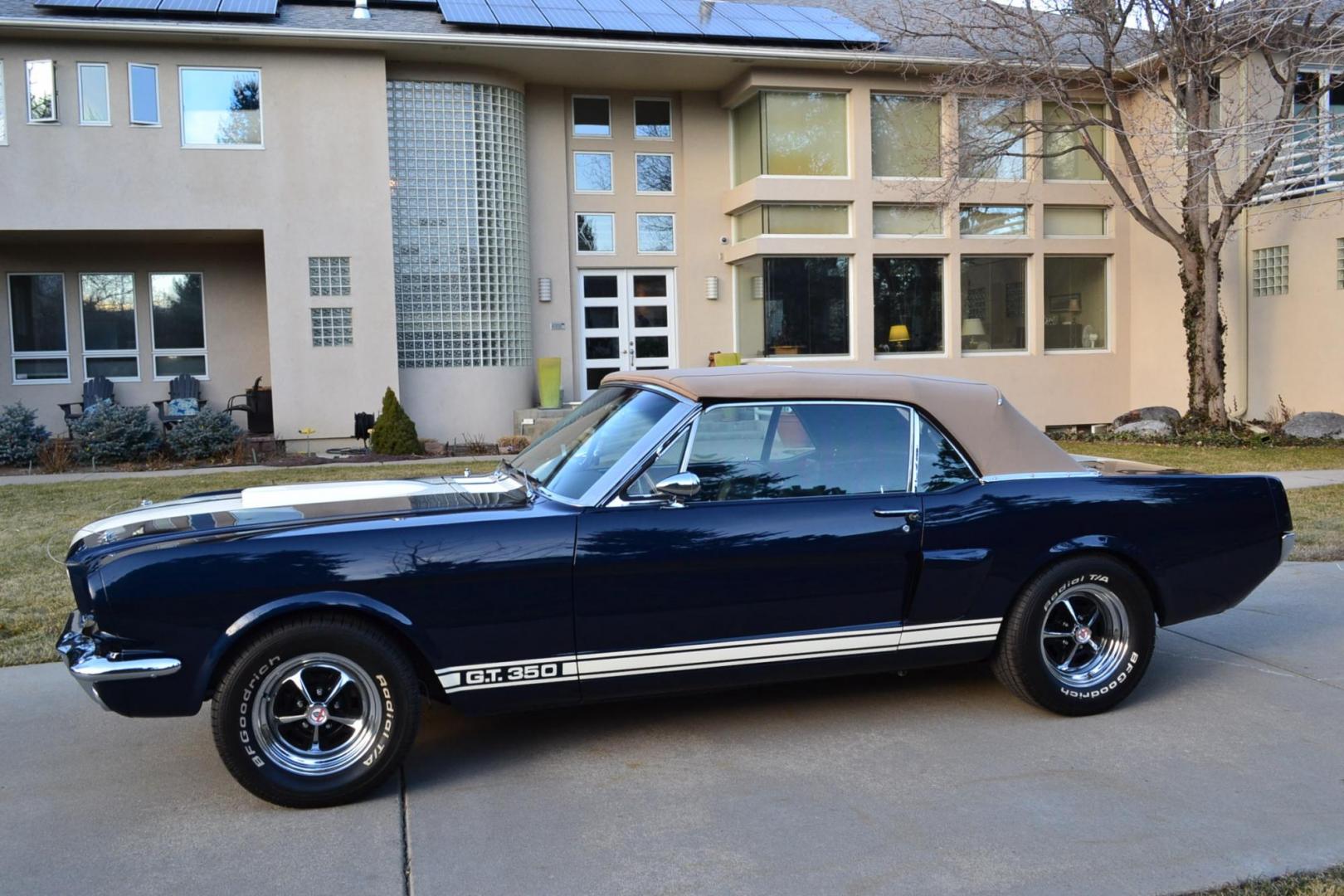 1966 Blue /Black Ford Mustang Shelby GT350 Re-Creation (6F08K335126) with an 289 V8 Engine engine, Manual transmission, located at 2510 47th St. Suite 200, Boulder, CO, 80301, (303) 641-0333, 40.026196, -105.243217 - This 1966 Mustang Original K-Code Convertible, Shelby GT350 Re-Creation, underwent a Complete Nut and Bolt Rotisserie Restoration and was Built to the Specs of a Shelby GT350. A Rebuilt High Performance 289 V8 Engine is Mated to a Top Loader 4-Speed Manual Transmission and a 9-inch Rear End. The En - Photo#5