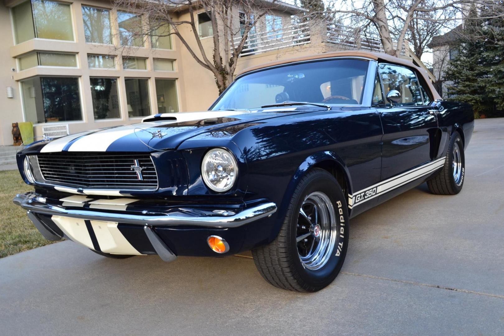 1966 Blue /Black Ford Mustang Shelby GT350 Re-Creation (6F08K335126) with an 289 V8 Engine engine, Manual transmission, located at 2510 47th St. Suite 200, Boulder, CO, 80301, (303) 641-0333, 40.026196, -105.243217 - This 1966 Mustang Original K-Code Convertible, Shelby GT350 Re-Creation, underwent a Complete Nut and Bolt Rotisserie Restoration and was Built to the Specs of a Shelby GT350. A Rebuilt High Performance 289 V8 Engine is Mated to a Top Loader 4-Speed Manual Transmission and a 9-inch Rear End. The En - Photo#6