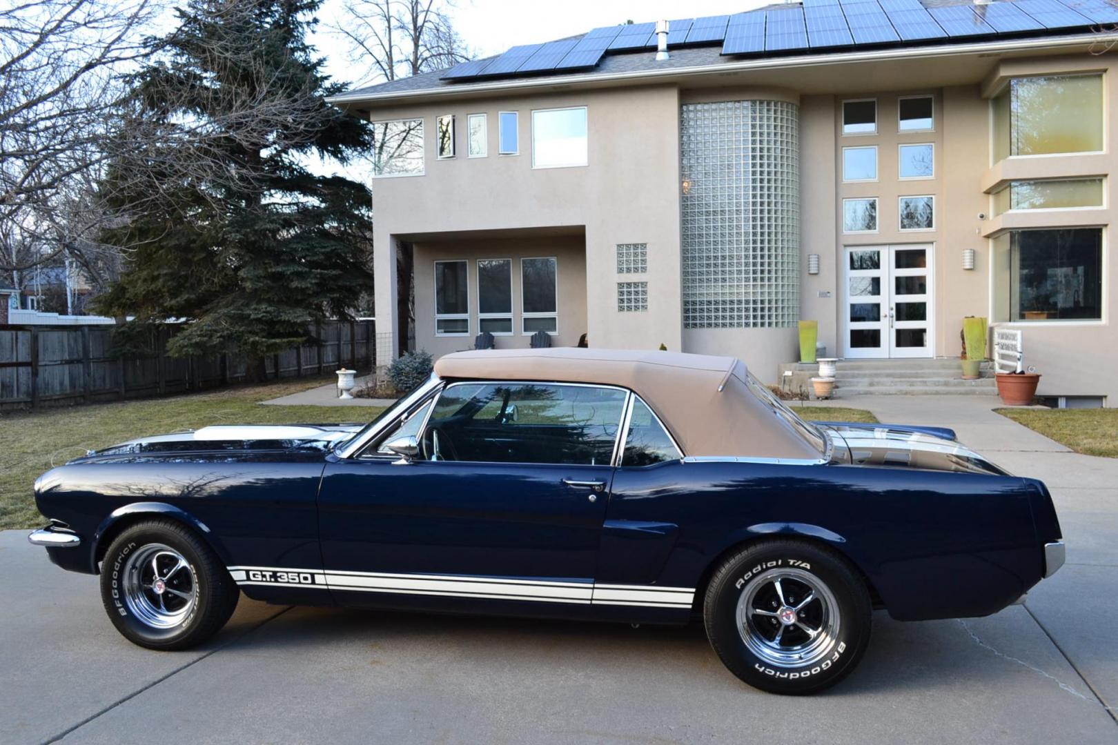 1966 Blue /Black Ford Mustang Shelby GT350 Re-Creation (6F08K335126) with an 289 V8 Engine engine, Manual transmission, located at 2510 47th St. Suite 200, Boulder, CO, 80301, (303) 641-0333, 40.026196, -105.243217 - This 1966 Mustang Original K-Code Convertible, Shelby GT350 Re-Creation, underwent a Complete Nut and Bolt Rotisserie Restoration and was Built to the Specs of a Shelby GT350. A Rebuilt High Performance 289 V8 Engine is Mated to a Top Loader 4-Speed Manual Transmission and a 9-inch Rear End. The En - Photo#7