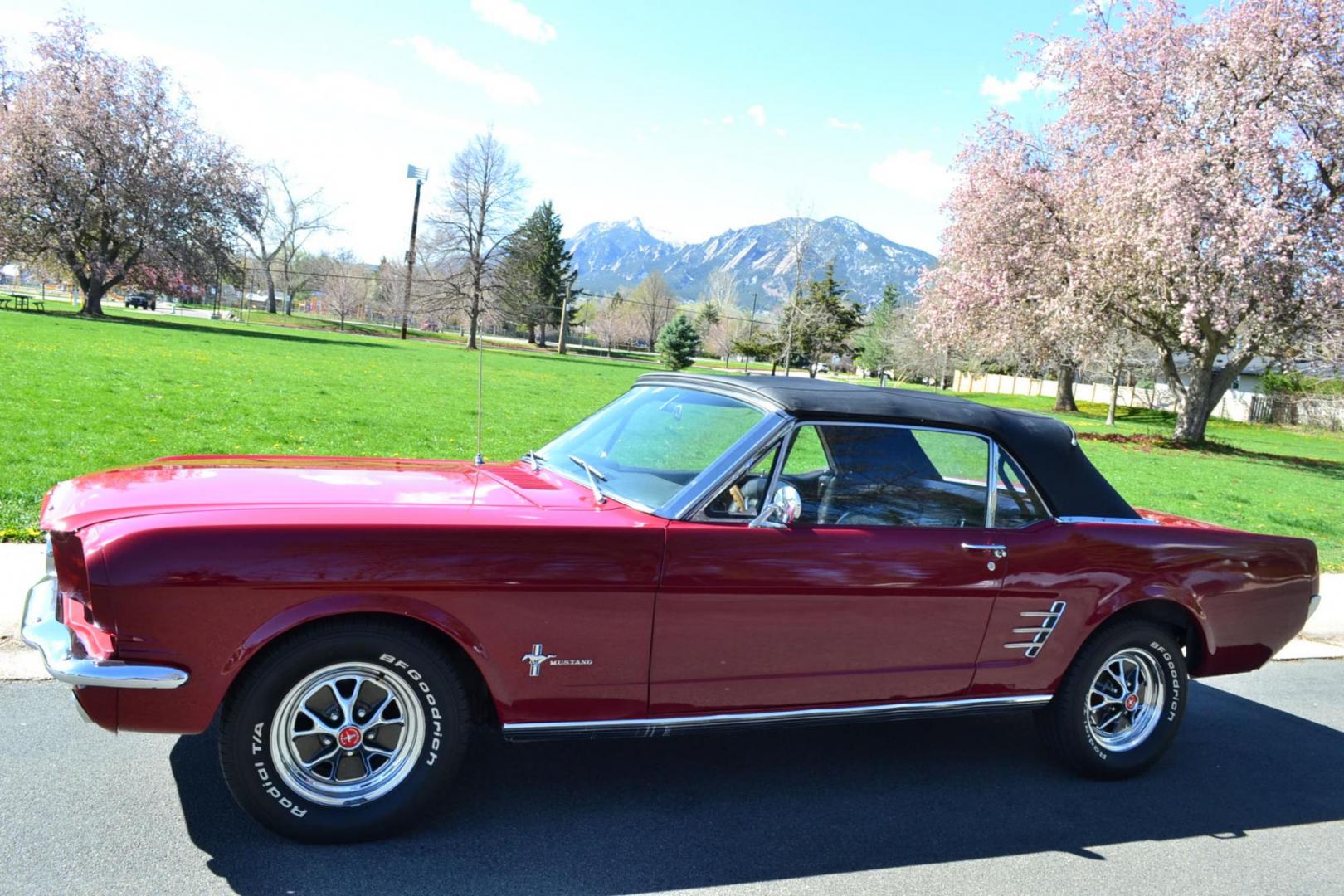 1966 Red /Black Ford Mustang Standard (6T08T165419) with an 302 V8 engine, Manual transmission, located at 2510 47th St. Suite 200, Boulder, CO, 80301, (303) 641-0333, 40.026196, -105.243217 - This 1966 Mustang is a Refreshed Convertible Powered by a 302 V8 paired with a 4 speed Manual Transmission. It is Equipped with an Edelbrock Carburetor, Intake Manifold, Ford Racing Valve Covers, GT Light Bar, Dual Exhaust, Chrome Mustang Styled Steel Wheels with BF Goodrich Solid White Letter Radia - Photo#3