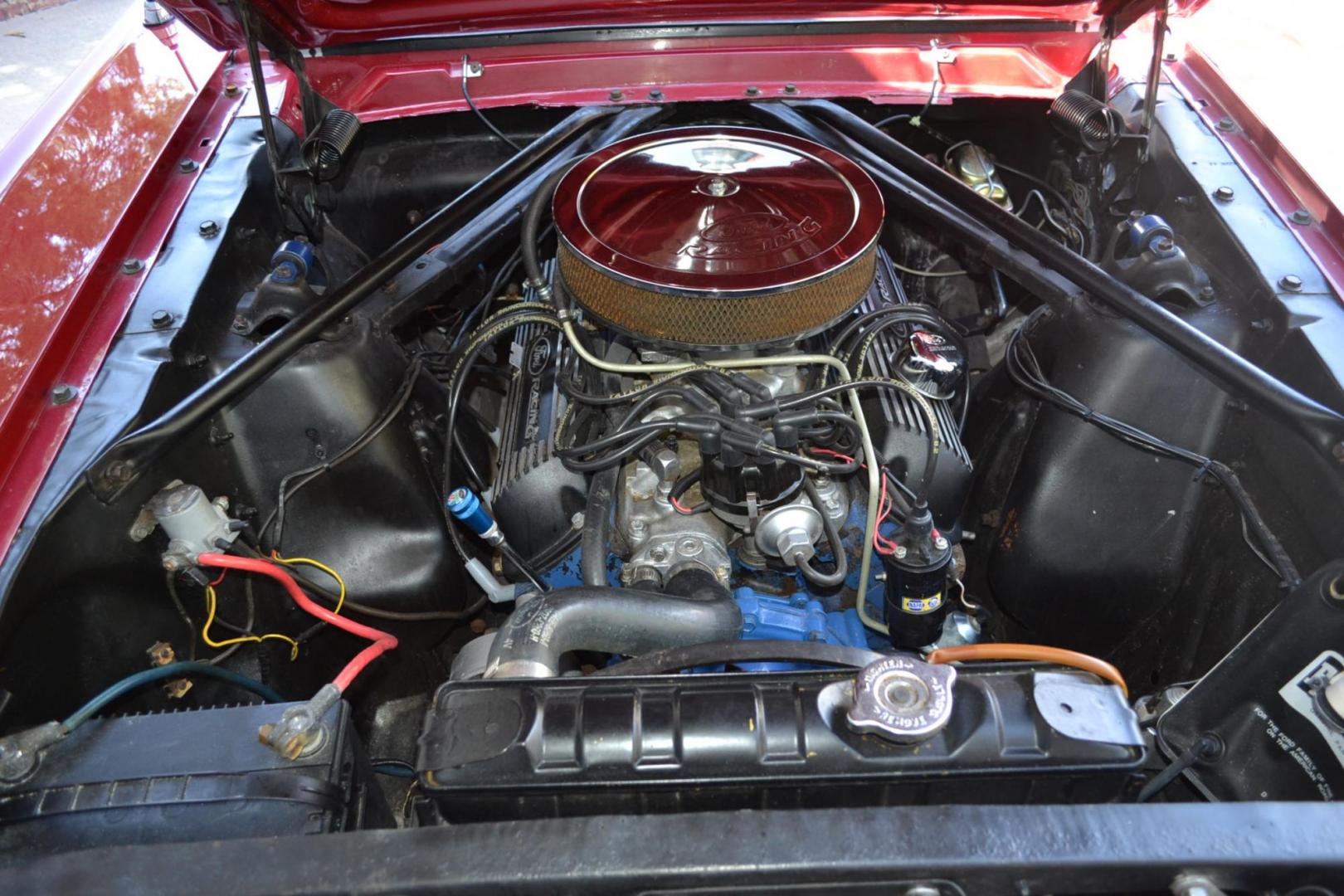 1966 Red /Black Ford Mustang Standard (6T08T165419) with an 302 V8 engine, Manual transmission, located at 2510 47th St. Suite 200, Boulder, CO, 80301, (303) 641-0333, 40.026196, -105.243217 - This 1966 Mustang is a Refreshed Convertible Powered by a 302 V8 paired with a 4 speed Manual Transmission. It is Equipped with an Edelbrock Carburetor, Intake Manifold, Ford Racing Valve Covers, GT Light Bar, Dual Exhaust, Chrome Mustang Styled Steel Wheels with BF Goodrich Solid White Letter Radia - Photo#21