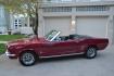 1966 Red /Black Ford Mustang Standard (6T08T165419) with an 302 V8 engine, Manual transmission, located at 2510 47th St. Suite 200, Boulder, CO, 80301, (303) 641-0333, 40.026196, -105.243217 - This 1966 Mustang is a Refreshed Convertible Powered by a 302 V8 paired with a 4 speed Manual Transmission. It is Equipped with an Edelbrock Carburetor, Intake Manifold, Ford Racing Valve Covers, GT Light Bar, Dual Exhaust, Chrome Mustang Styled Steel Wheels with BF Goodrich Solid White Letter Radia - Photo#28