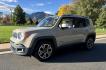 2015 Tan /Gray Jeep Renegade Limited FWD (ZACCJADTXFP) with an 2.4L L4 engine, 9-Speed Automatic transmission, located at 2510 47th St. Suite 200, Boulder, CO, 80301, (303) 641-0333, 40.026196, -105.243217 - Photo#1